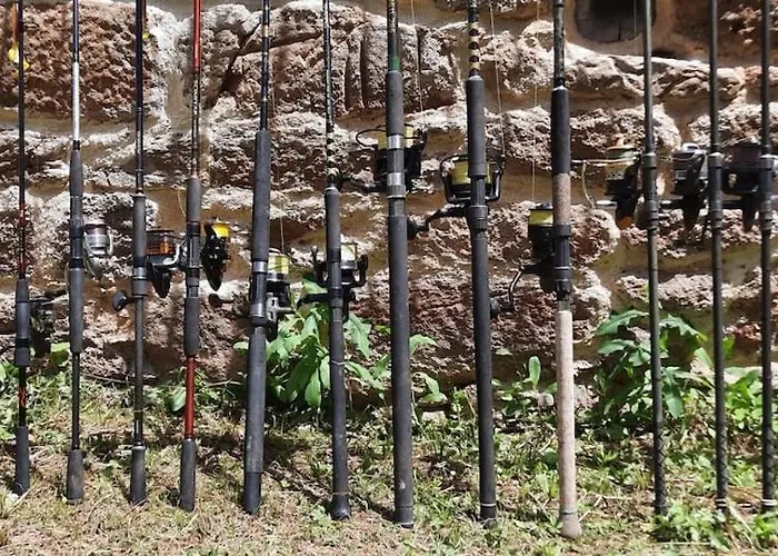 Exceptionnel Au Bord De La Riviere Lot *